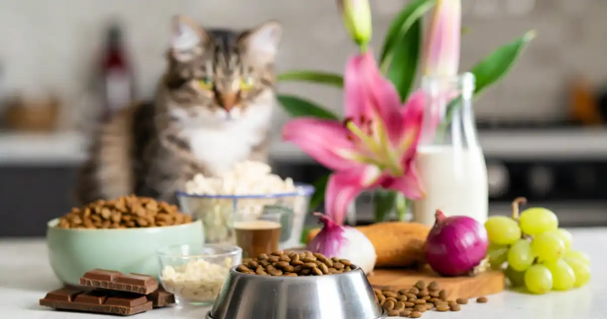 Alimentos Proibidos para Gatos: Como Proteger Seu Felino